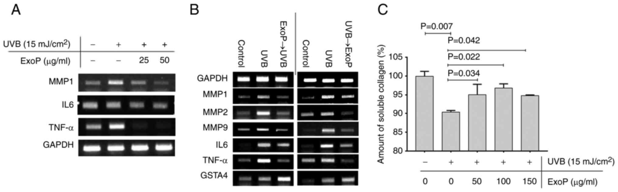 UVB photodamage prevention and mitigation by potato exosomes.